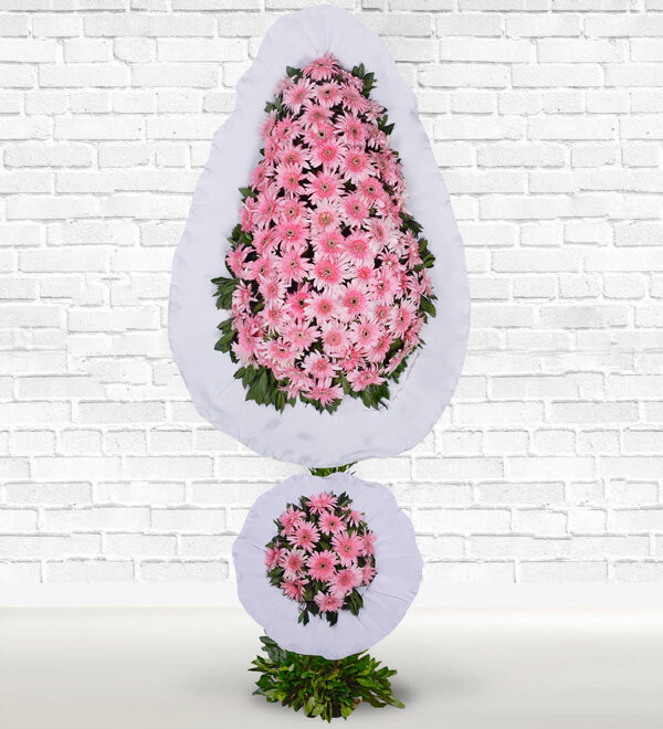 pembe gerbere ift katl elenk