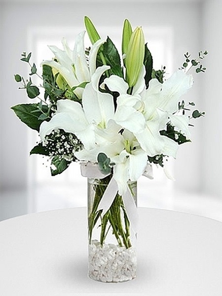 prenses lilyum 